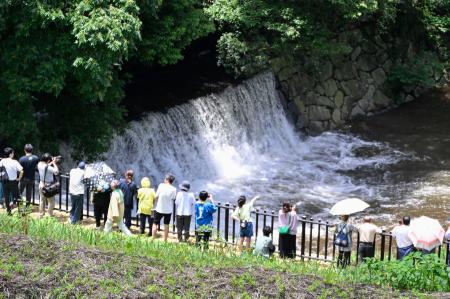 　香川県まんのう町の満濃池で行われた「ゆる抜き」＝１５日午後