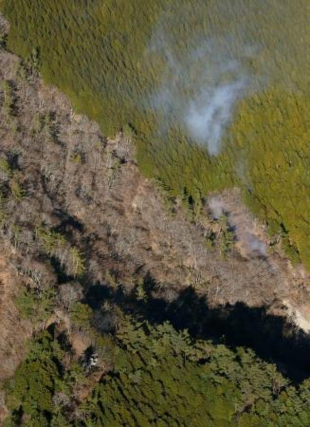 　神奈川県秦野市の山中で発生した火災＝１１日午後２時８分（共同通信社ヘリから）