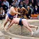 　大の里（左）がはたき込みで玉鷲を下す＝福岡国際センター