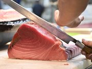 ブロックに切り分けられるメバチマグロ＝１８日、岐阜市茜部新所、市中央卸売市場