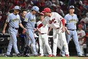 　８回、死球を受けた阪神・大山（手前左から２人目）に声をかける広島・新井監督。右端は藤川監督＝マツダ
