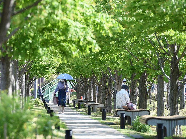 日傘を差して歩く人ら＝２０日午後３時４分、岐阜市司町