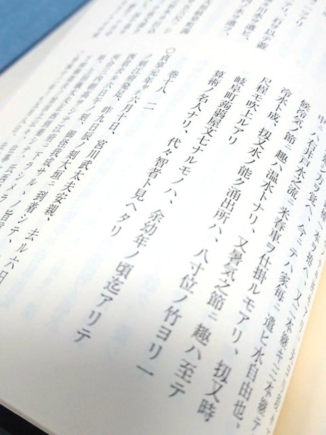 「大垣市史」にも収録されている文七の記録。１ページに収まる短い記述だが、城下町の生活に大きな影響を与えたことがうかがえる