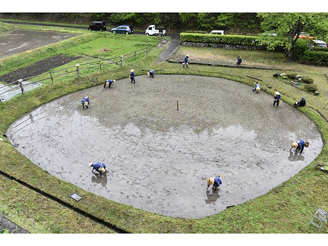 円形の車田で田植えをする保存協力会の会員たち＝１６日午前８時５６分、高山市松之木町