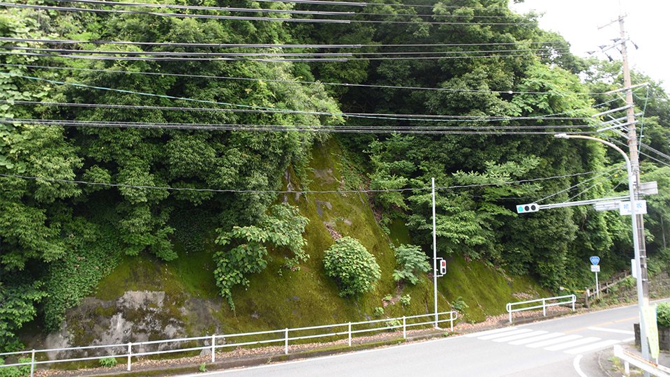 クマが山中にいるとみられる記念碑山公園＝９日午前１１時３０分、揖斐川町上南方