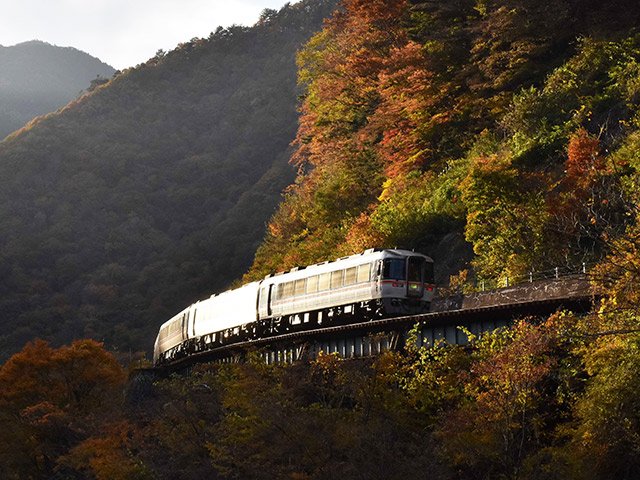 紅葉した山沿いを、夕日を浴びて走る特急「ひだ」＝下呂市小坂町門坂