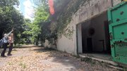 上部が木で覆われた半洞窟式火薬庫跡。戦後はスケート場の貸し靴置き場などとして使われた＝不破郡関ケ原町玉