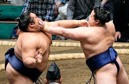 　攻め合う若ノ勝（右）と藤凌駕＝両国国技館