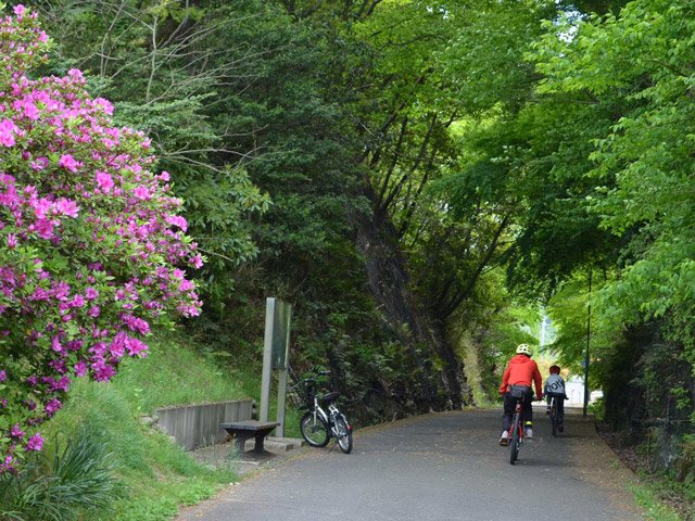 陶彩の径では、サイクリングを楽しむ親子によくすれ違った＝多治見市滝呂町