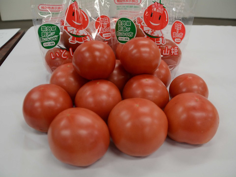 機能性表示食品に認定され、販売が始まった夏秋トマト「いとしろ白山姫」