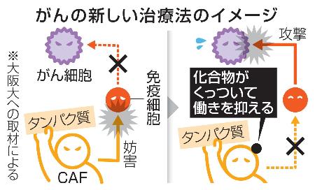 　がんの新しい治療法のイメージ