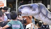 間近まで寄れるイグアノドン＝２４日午後２時４４分、岐阜市柳ケ瀬通
