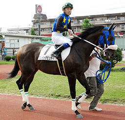 中京ペガスターカップを制覇したグレイトデピュティ（島崎和也騎手）は、東海ダービーにも出走し、笠松最先着の４着