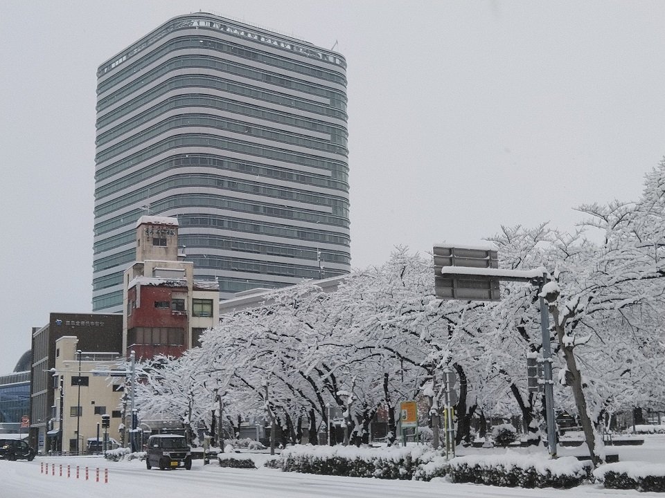 雪に包まれた岐阜市役所＝２４日午前９時８分、岐阜市