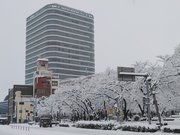 雪に包まれた岐阜市役所＝２４日午前９時８分、岐阜市