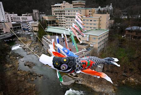 　札幌市南区の定山渓温泉でこどもの日を前に始まった「渓流鯉のぼり」＝１０日午前