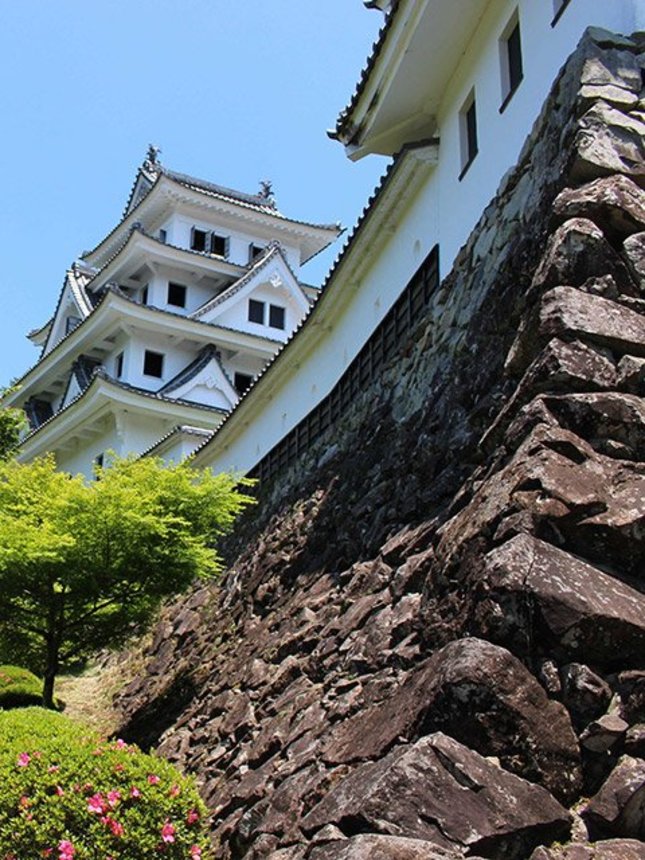 江戸期には郡上藩主の居城だった郡上八幡城。現在の天守閣は日本最古の木造再建城として城郭ファンの人気を集める＝同