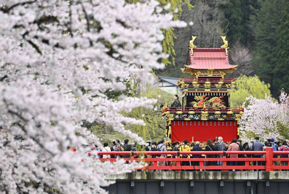 桜の咲く中橋を進む祭り屋台＝１５日午前９時３２分、岐阜県高山市内