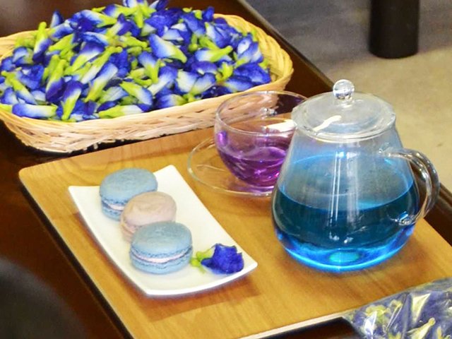バタフライピーの花の色素を利用して開発されたアジサイ色のマカロン＝美濃加茂市役所