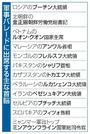 　軍事パレードに出席する主な首脳