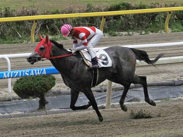 村上忍騎手の騎乗で初勝利を飾ったオグリキャップの孫・ミンナノヒーロー＝水沢競馬場