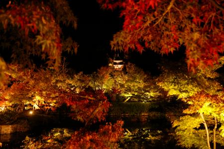 　紅葉の名所として知られる永観堂禅林寺で行われた、夜の特別拝観「もみじのライトアップ」の試験点灯。赤く色づき始めた木々が鮮やかに浮かび上がった＝７日夜、京都市左京区