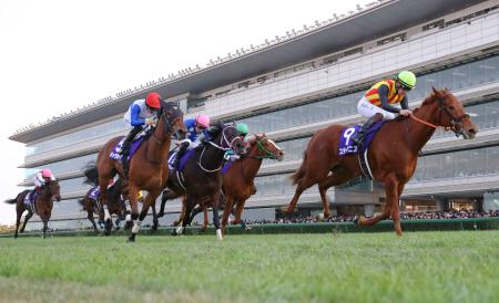 　第７７回阪神ジュベナイルフィリーズを制したスターアニス（右端）＝阪神競馬場