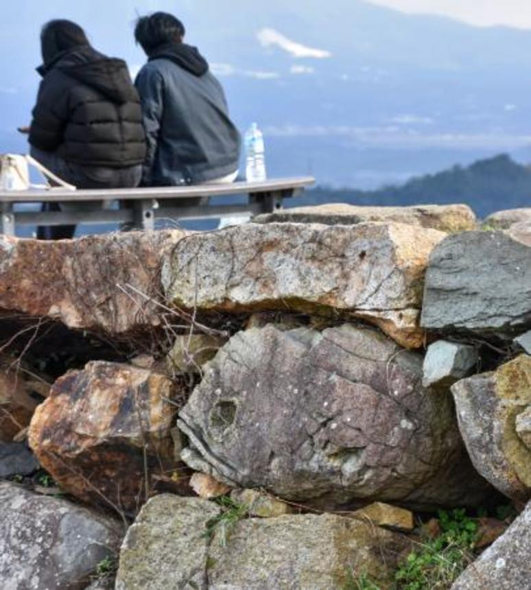 　米子城跡天守台の石垣にある、タイの姿に見える「鯛石」＝鳥取県米子市