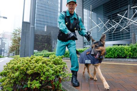 　米大使館周辺で爆発物がないか探索する警備犬＝２６日午前、東京・赤坂