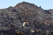 　山肌が焼け焦げたバレンシア県の山火事現場＝３０日（ＡＰ＝共同）