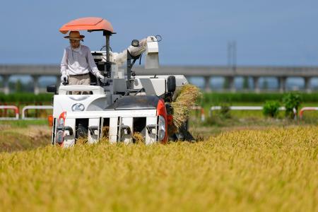 　コメの収穫作業＝２０２５年８月、新潟県三条市