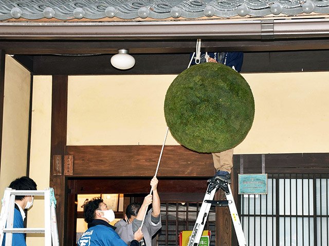 軒先につり下げられる杉玉＝下呂市萩原町萩原、天領酒造

