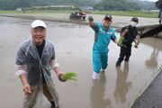 三山産コシヒカリの苗を植える三山ひろしさん（中央）と林宏優市長＝山県市岩佐