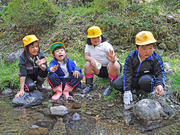 ゲンジボタルの幼虫と餌となるカワニナを放流する３年生４人＝４月２２日、本巣市根尾板所、淡墨公園近くの川