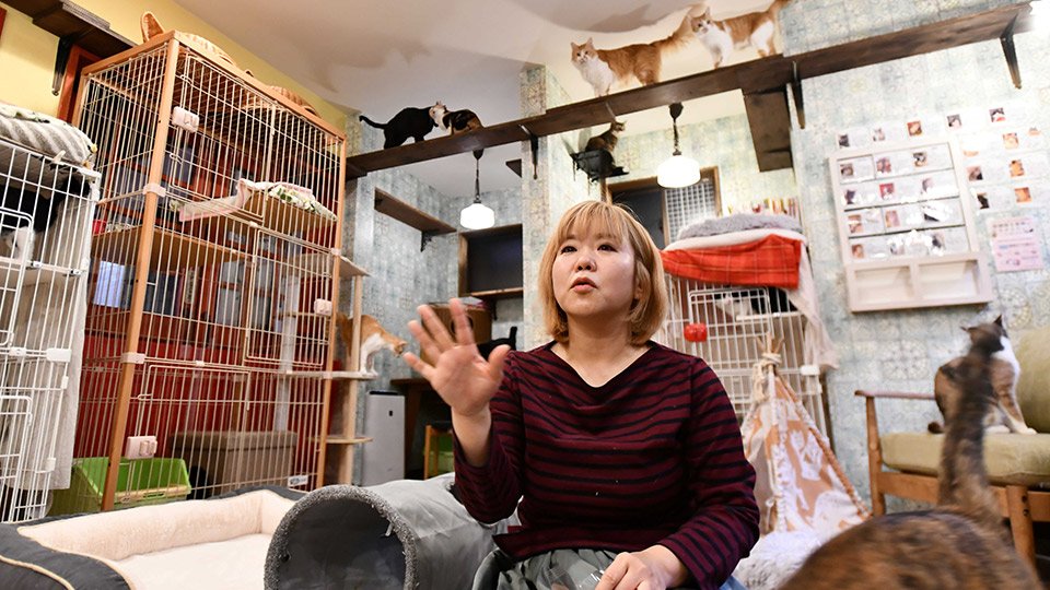 「不幸な猫がいないことは不幸な人間がいない、ということにつながる」と語る河瀬麻花さん＝岐阜市正木、ネコリパブリック岐阜店
