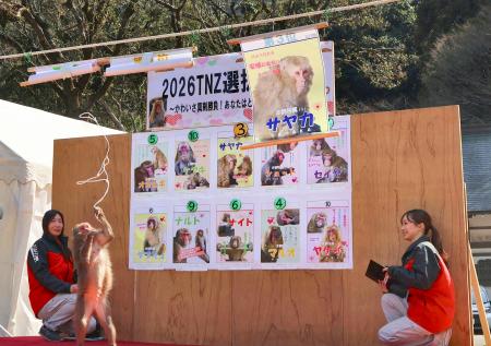 　高崎山自然動物園で行われたサルの人気ナンバーワンを決める「選抜総選挙」の結果発表＝２１日午後、大分市