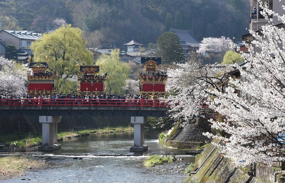 桜の咲く中橋を進む祭り屋台＝１４日午前、高山市内