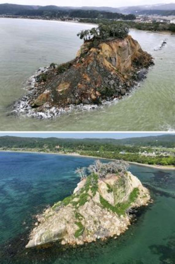 　石川県珠洲市の見附島。２０２４年１月１９日（上）と比べ、今年６月１７日には白っぽい枯れ木が目立つようになっていた（いずれもドローンから）