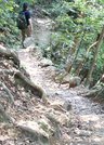 「めい想の小径」の下り。狭い道が続く＝５月、金華山