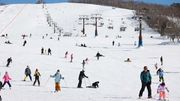 スキーやスノーボードを楽しむ来場者＝郡上市高鷲町、ひるがの高原スキー場