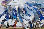 　全国から寄せられた青いこいのぼりが空を舞う「青い鯉のぼりまつり」を楽しむ子どもたち＝５日午後、宮城県東松島市大曲地区
