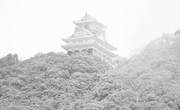 雪化粧した岐阜城・金華山＝４日午前９時７分、岐阜市内から望む