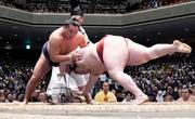 　豊昇龍がはたき込みで隆の勝を下す＝両国国技館