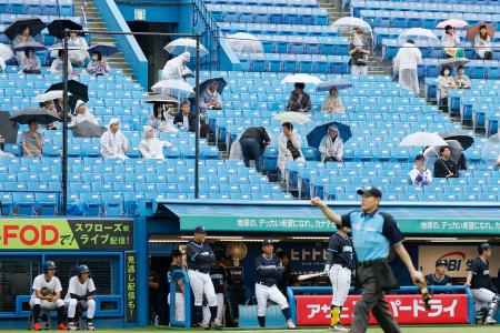 　雨の中、傘を差して全日本大学野球選手権を観戦する人たち＝１０日午前、東京都新宿区の神宮球場