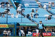 　雨の中、傘を差して全日本大学野球選手権を観戦する人たち＝１０日午前、東京都新宿区の神宮球場