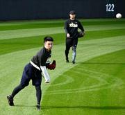 　合同自主練習でキャッチボールする阪神・石井（手前）＝沖縄県宜野座村