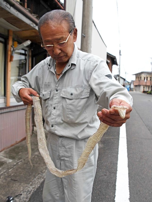 ヘビの抜け殻を見つけた橋本英雄さん＝同