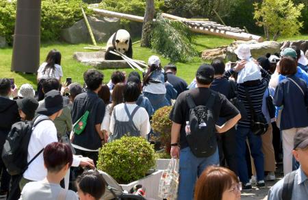 　ジャイアントパンダ「結浜」を見るため訪れた大勢の観光客＝３日午後、和歌山県白浜町のアドベンチャーワールド