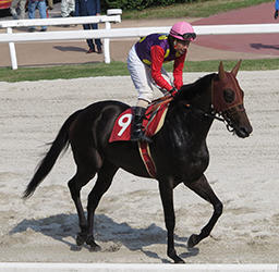 １番人気アペリラルビーと向山牧騎手