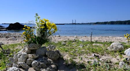 　沖縄県名護市辺野古沖での転覆事故の現場を望む浜に供えられた花＝１６日午前